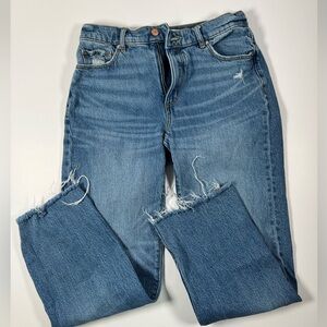 Ann Taylor Loft the straight jeans size 26(2)